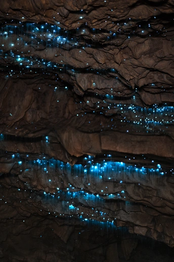 带有蓝色灯光的顶部的洞穴
