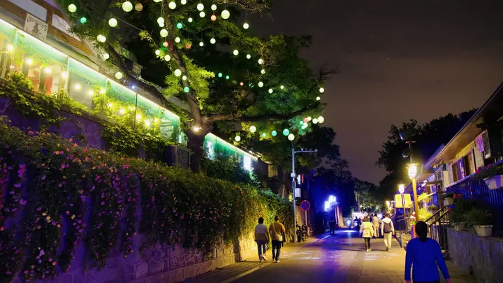 夜之韵