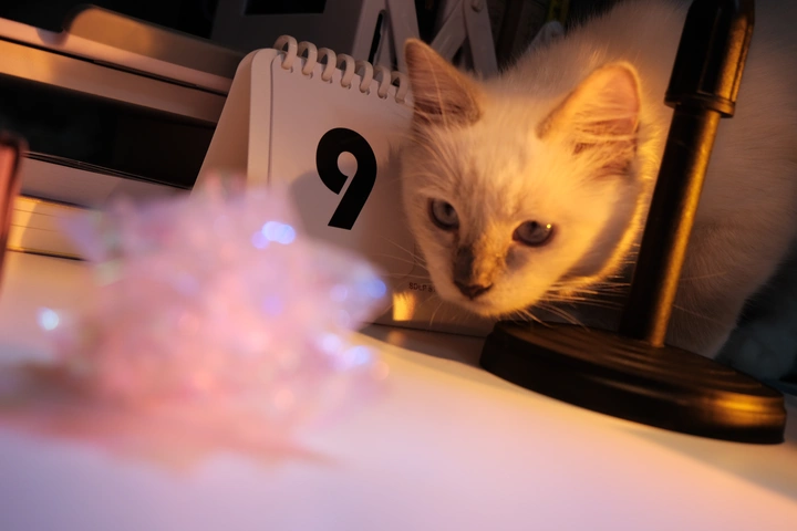 天才猎手