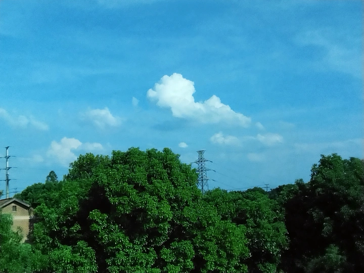 圆