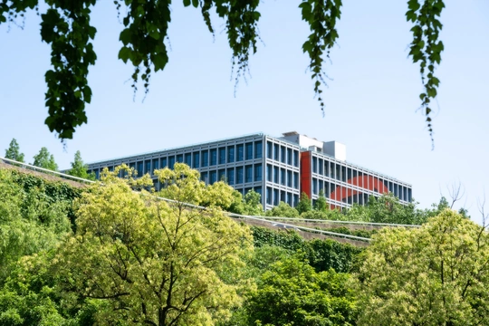 山坡上有一座大型建筑 前面有绿色的树木。
