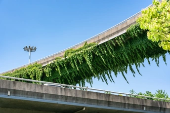 道路上的桥 屋顶上挂着绿叶