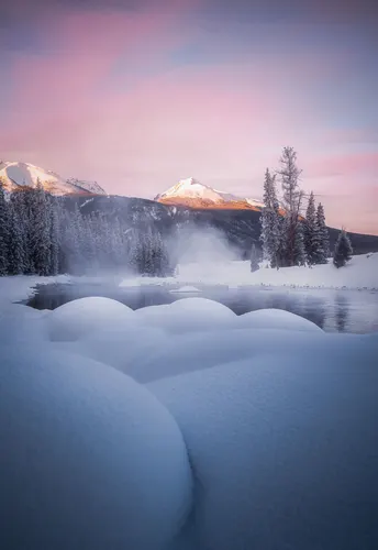 粉蓝雪境