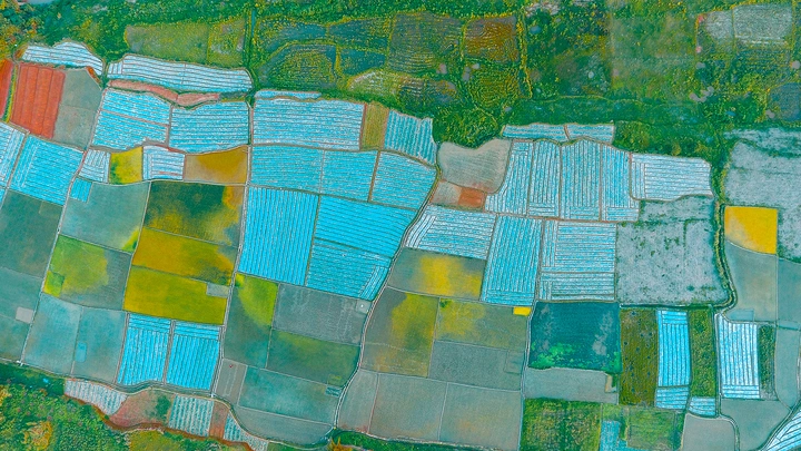 调色板