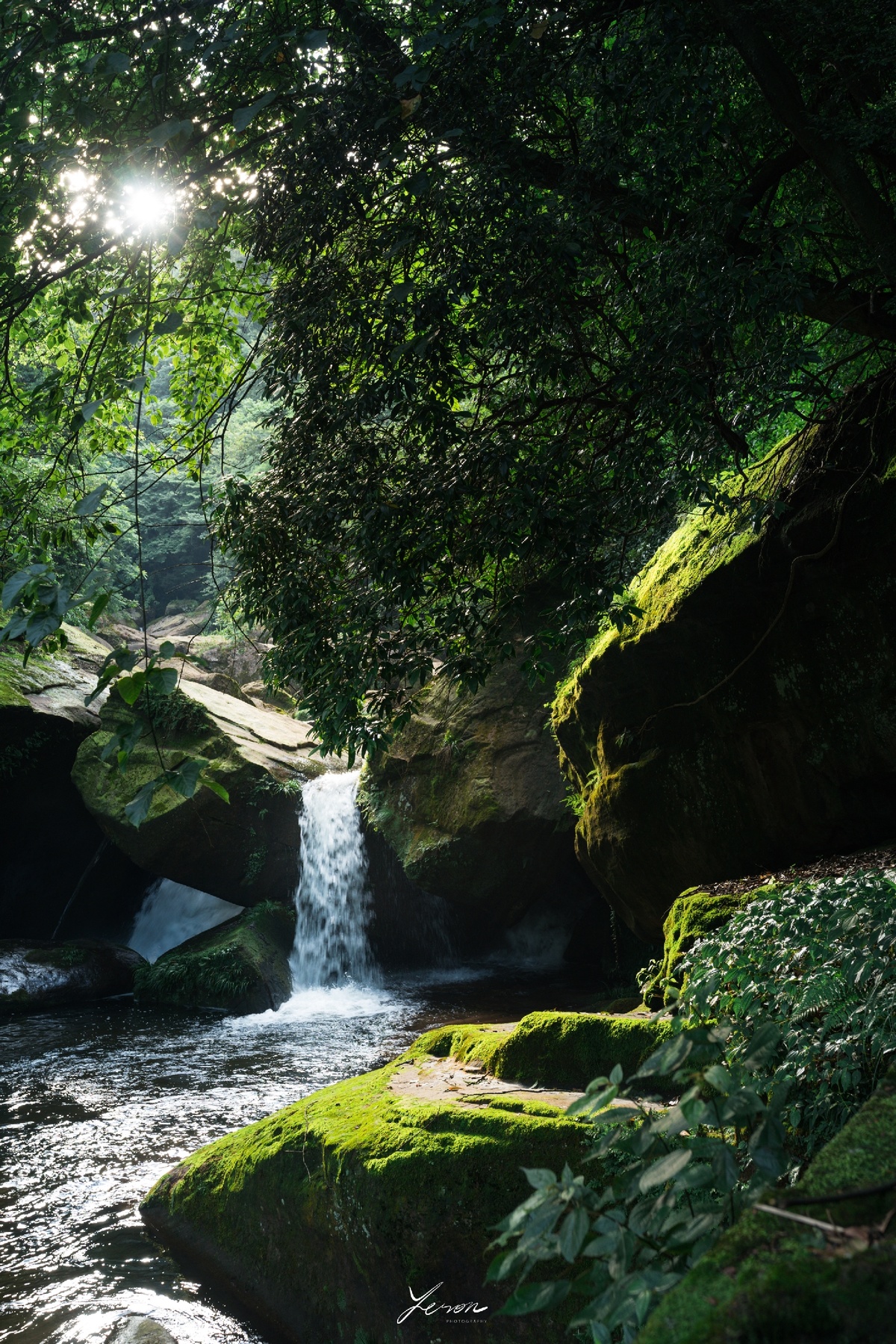 森林中的一条小溪 有岩石和水瀑布