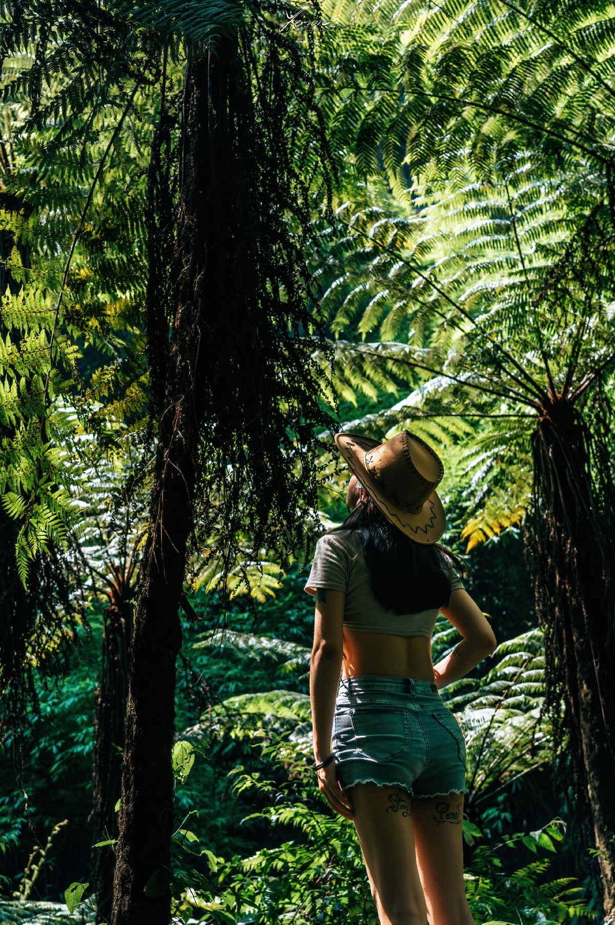 一位年轻女子站在森林中仰望蕨类植物和树木