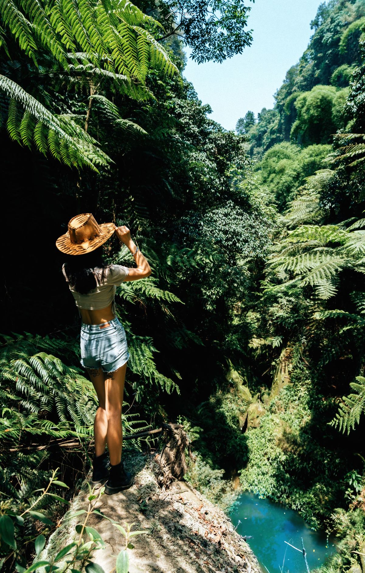 一位戴帽子的女士站在雨林边俯瞰河流和森林