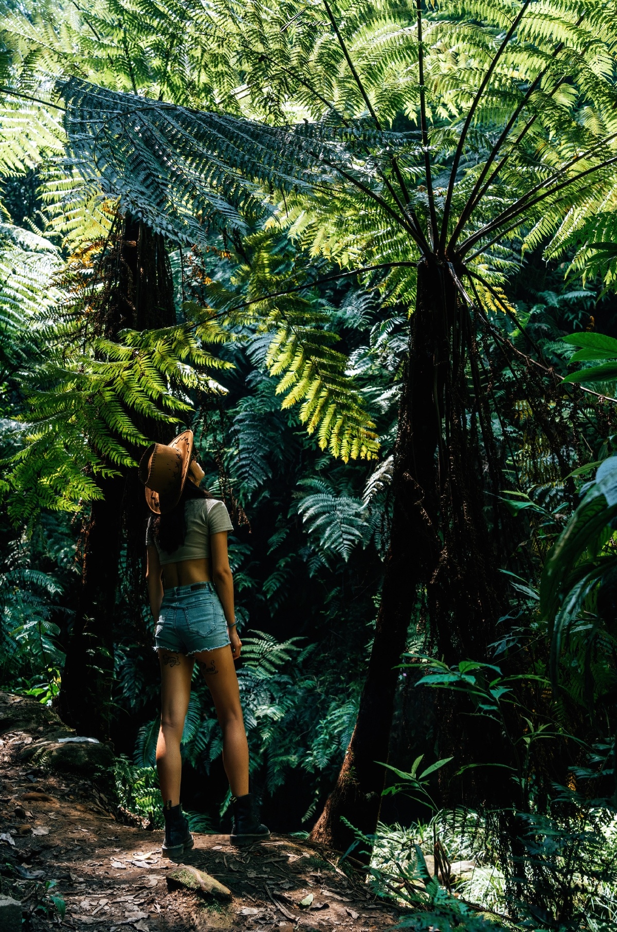 一位站在丛林小径上的女人抬头看着一棵树