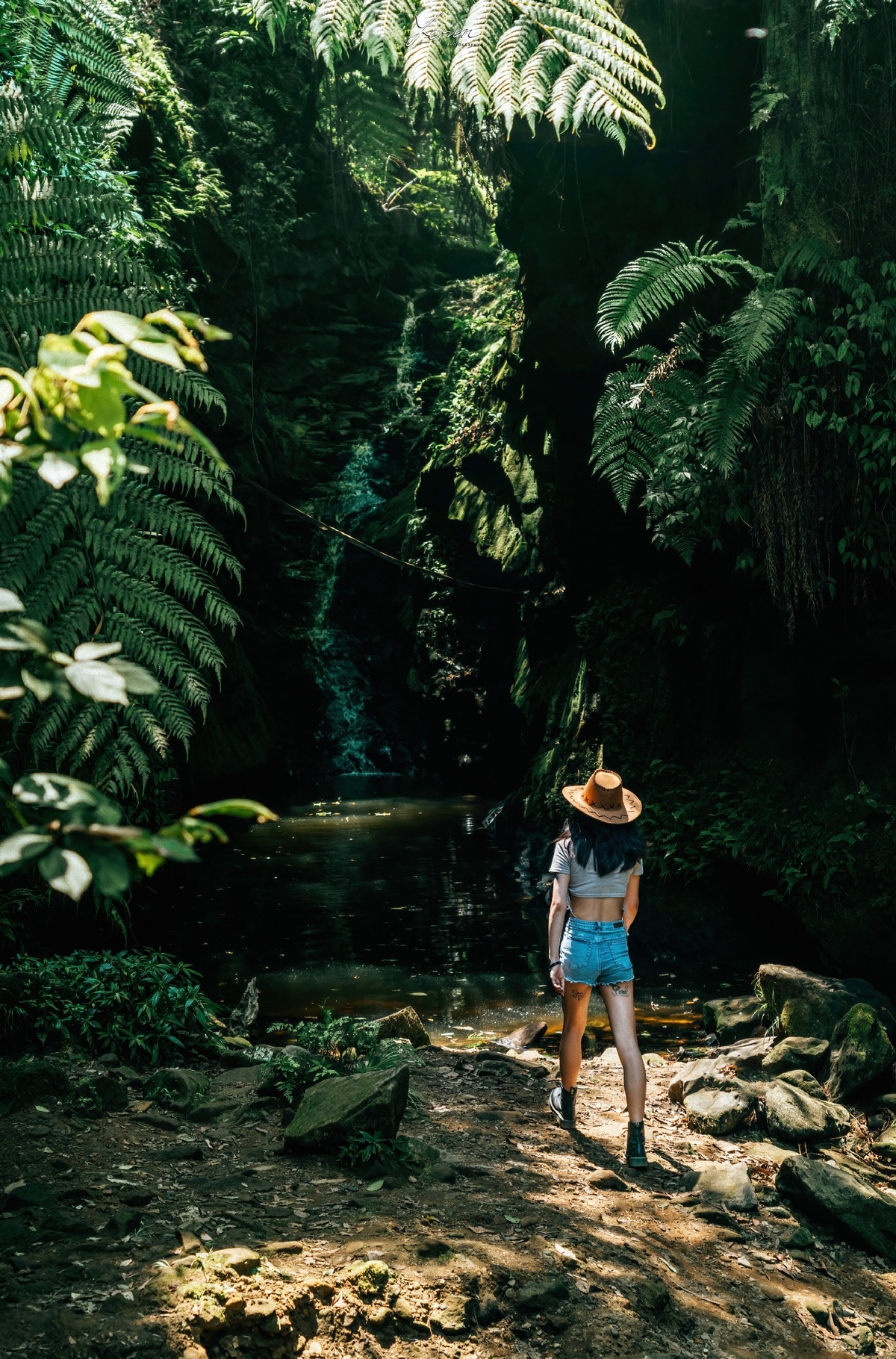 一顶帽子的一位女士沿着一条穿越雨林的小径 小径上有一条溪流穿过森林。