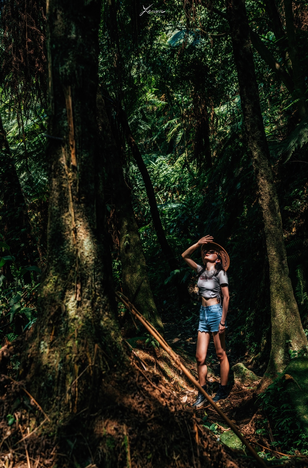 一位年轻女子站在丛林小径上 抬头看着森林中的一棵倒下的大树。