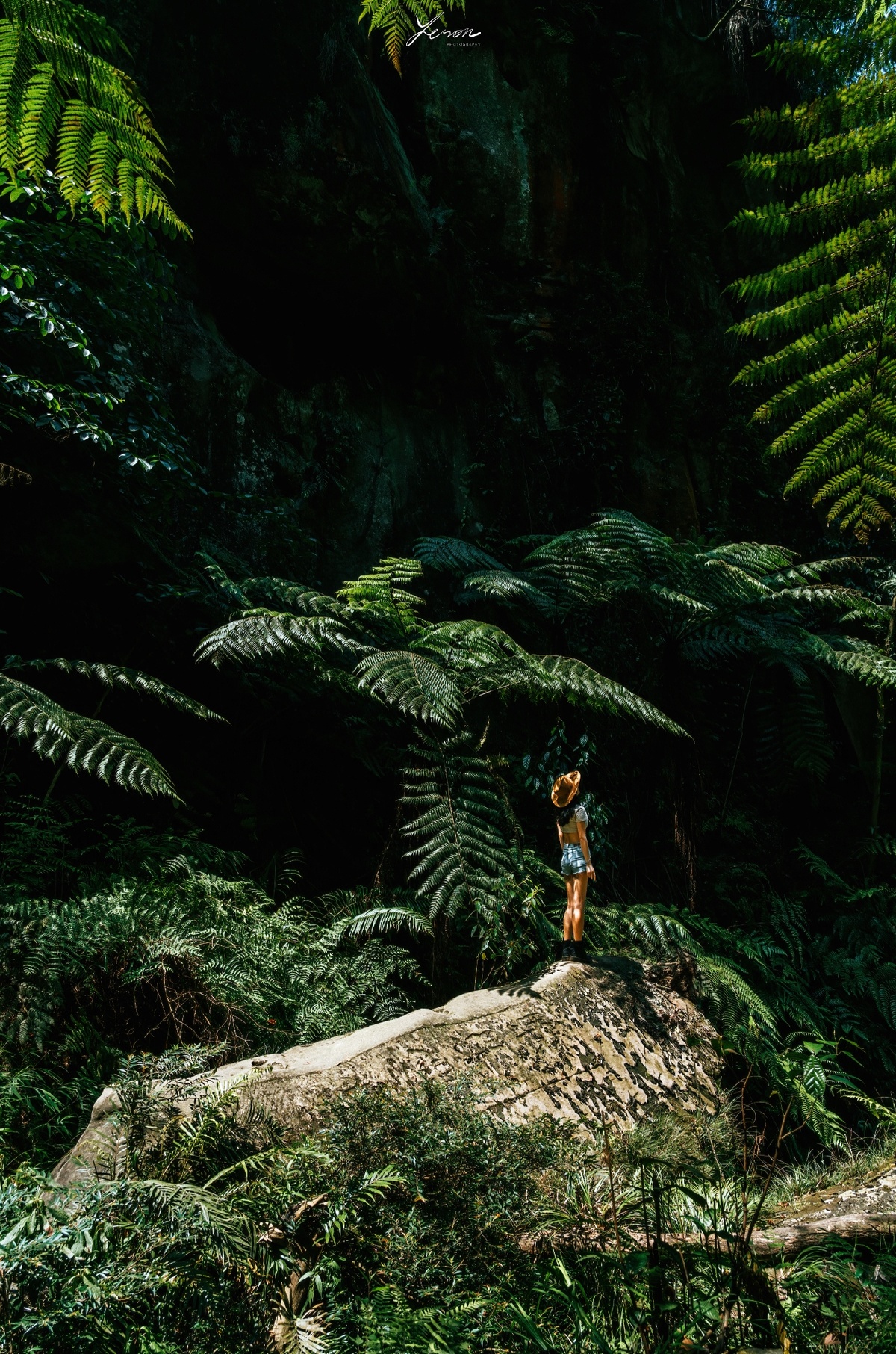 一位站在丛林中一块巨大岩石上的女人