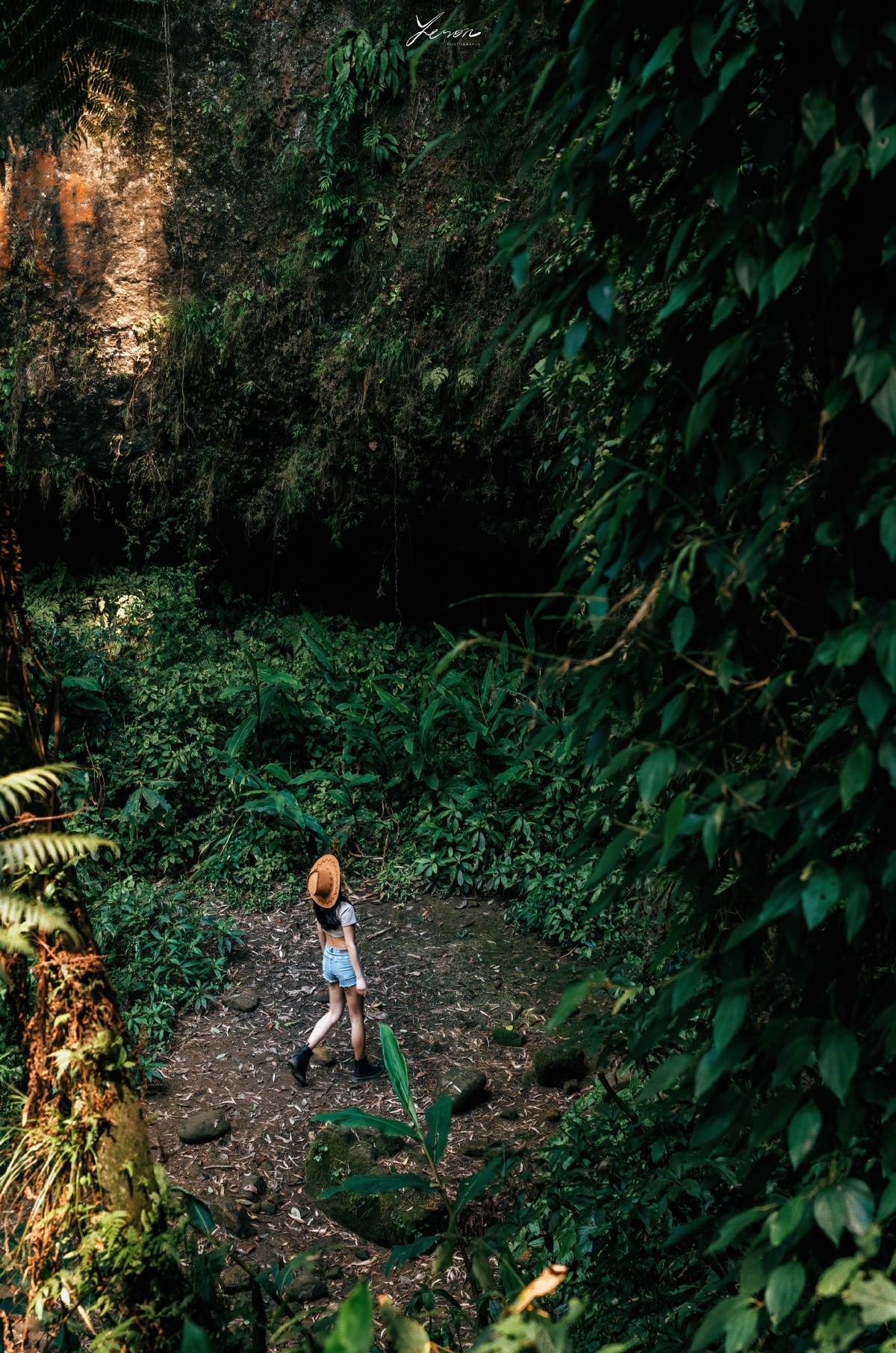 一个小男孩或小女孩站在森林或丛林的小径上 小径旁边有一棵小树。