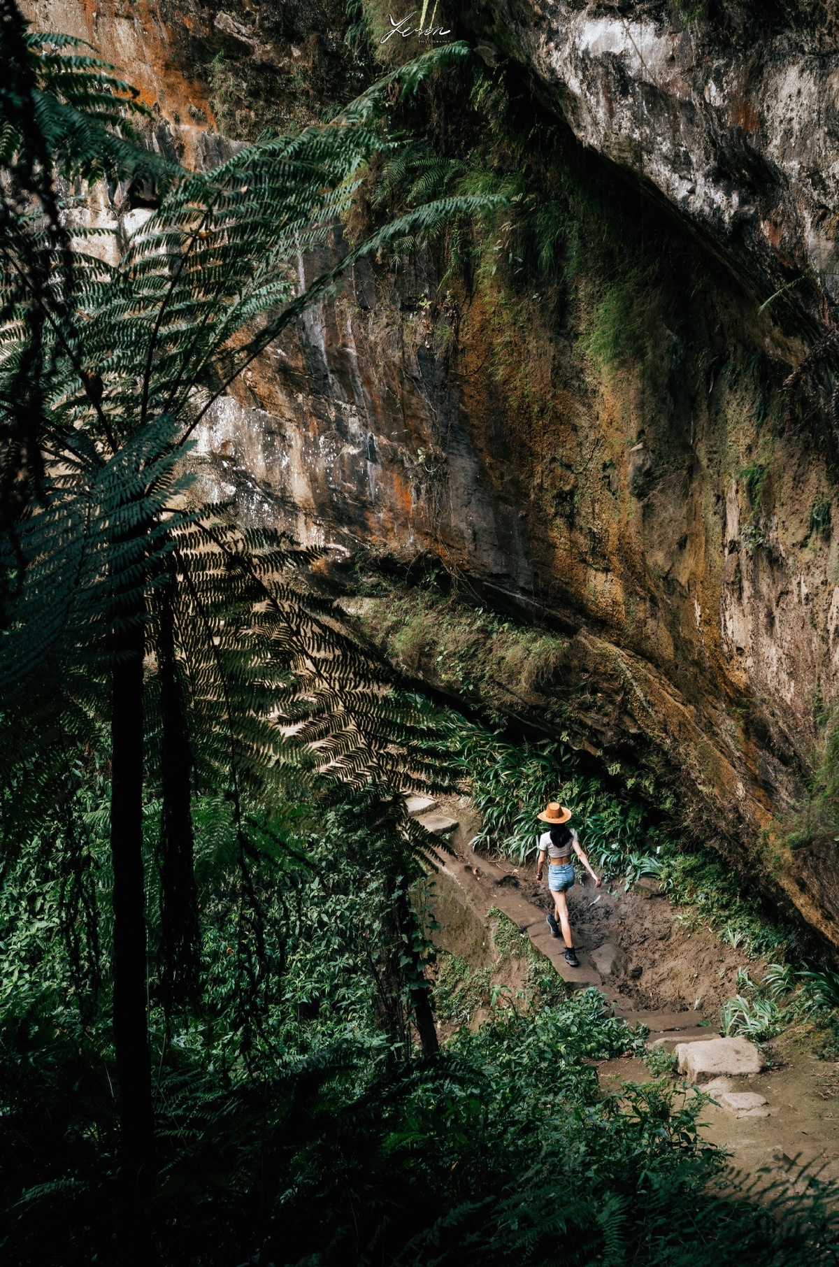 一个人骑着一条陡峭的小径穿过森林