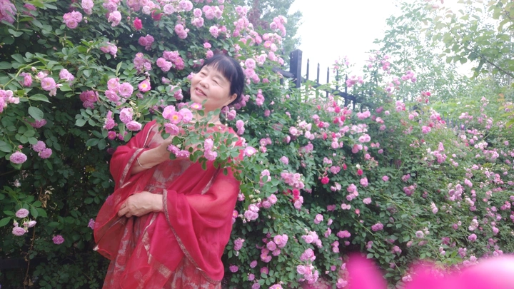 花开的时侯