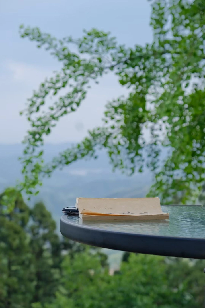 麻豆、摄影派对