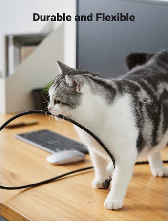 一只灰白色的猫站在一张桌子旁边 旁边有一台黑色的键盘。