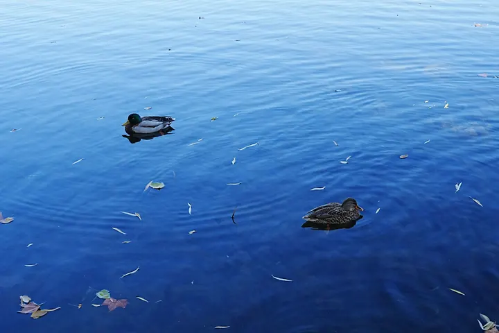 渐蓝的湖