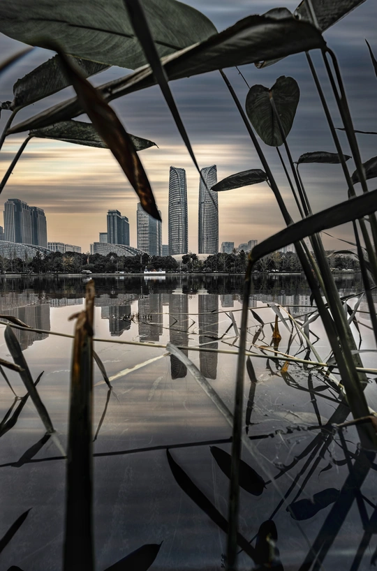 城市的天际线与水中的建筑倒影