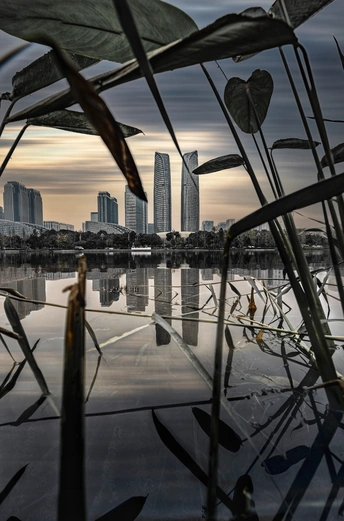 城市的天际线与水中的建筑倒影