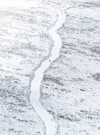 雪地景观 雪上有痕迹 一条路穿越其中