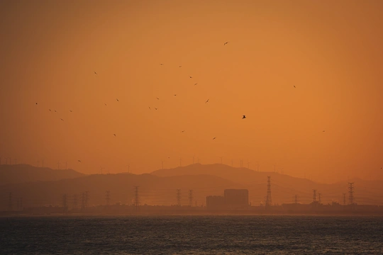 水面上夕阳西下 天空中鸟儿飞翔。