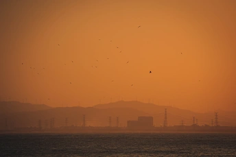 水面上夕阳西下 天空中鸟儿飞翔。