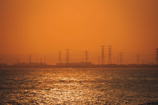 夕阳西下 远处有电线杆 前景中有飞鸟 天空中弥漫着朦胧的橙色。