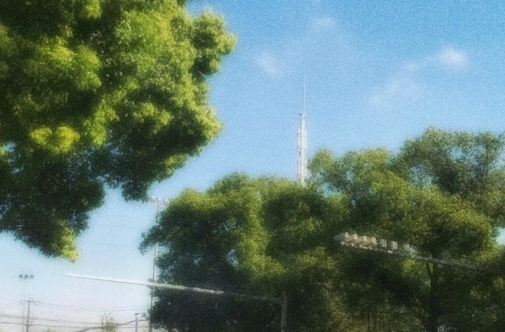 夏梦