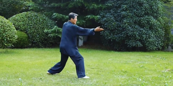 倒卷肱