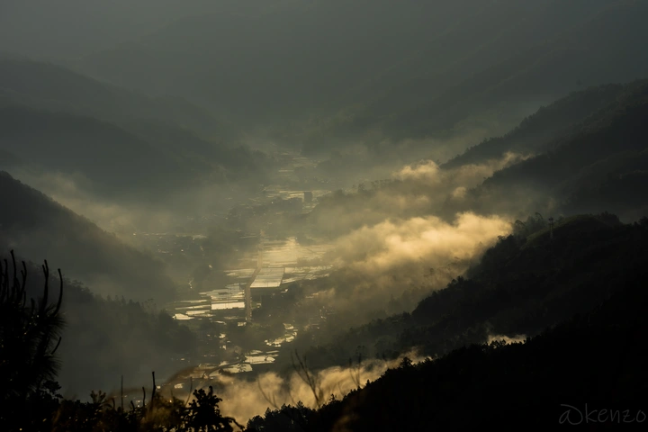 山谷里的思念