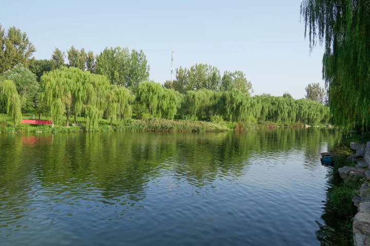 河滩美景，惬意