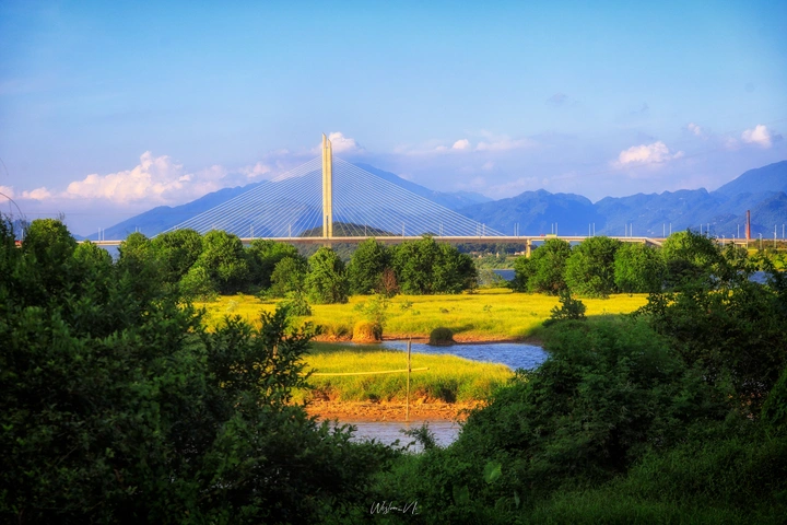 江岸桥头绿荫