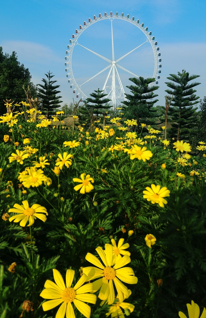 摩天轮