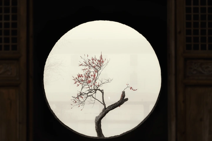 雾里看花