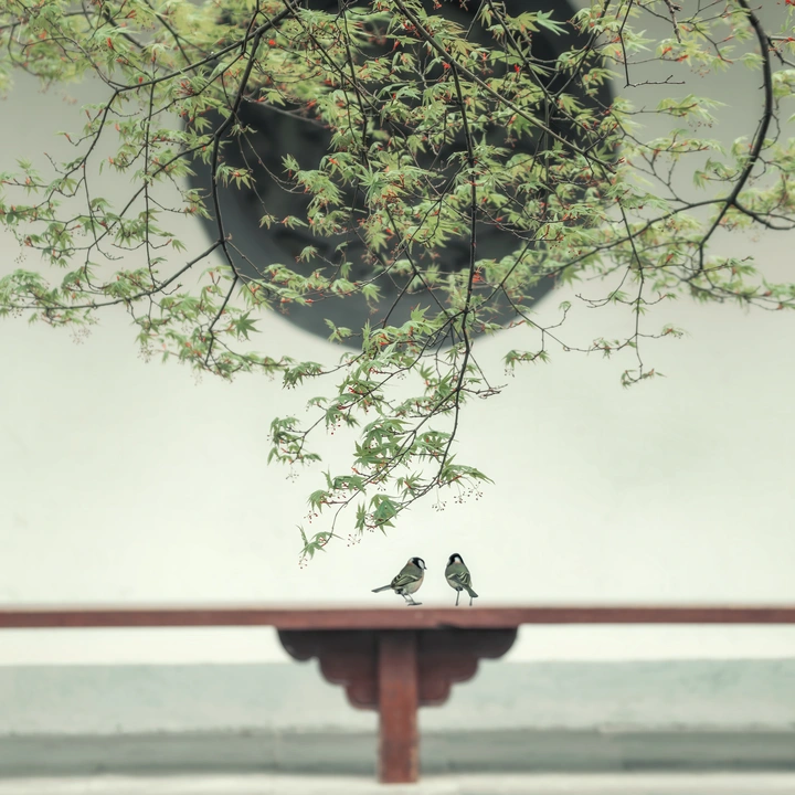 春意