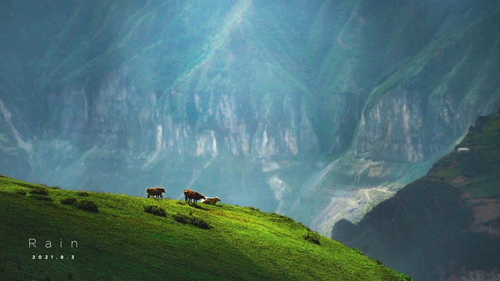 苍山闲牧