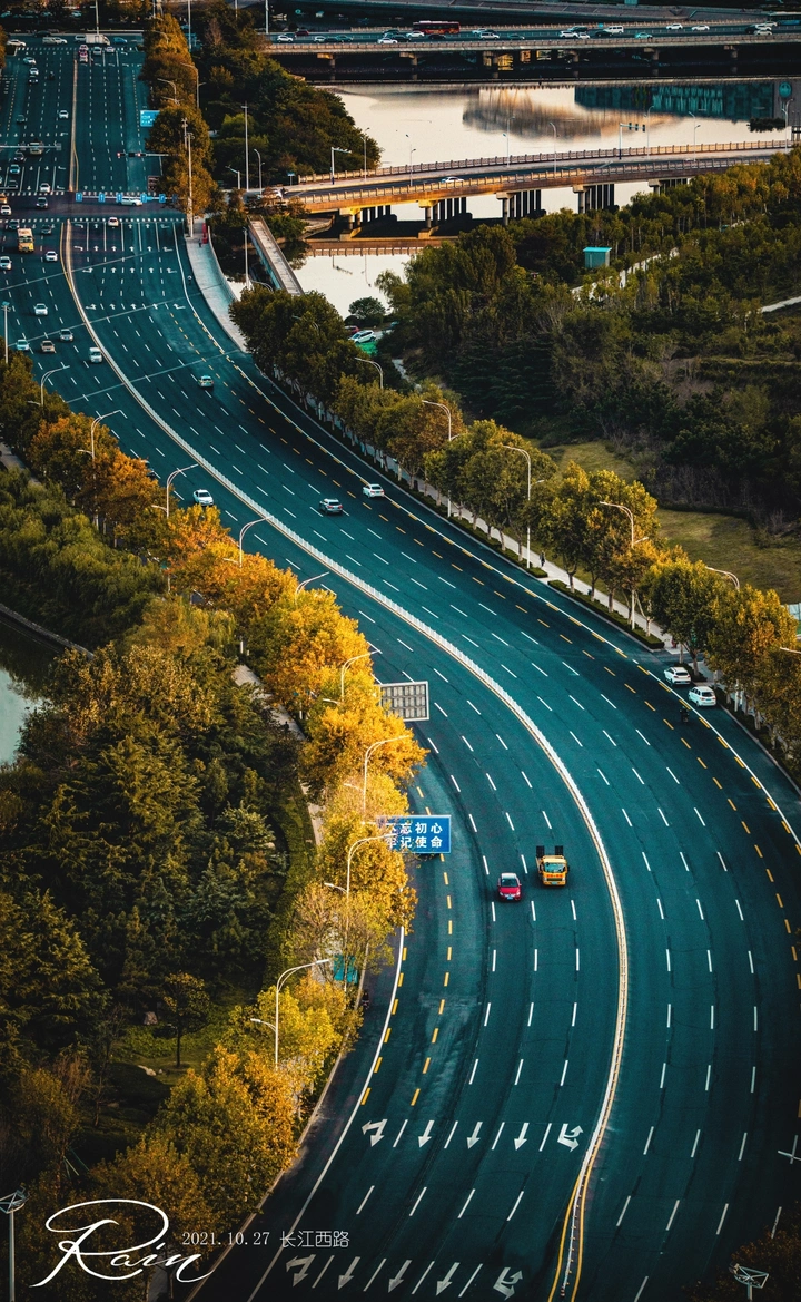 长江西路的秋