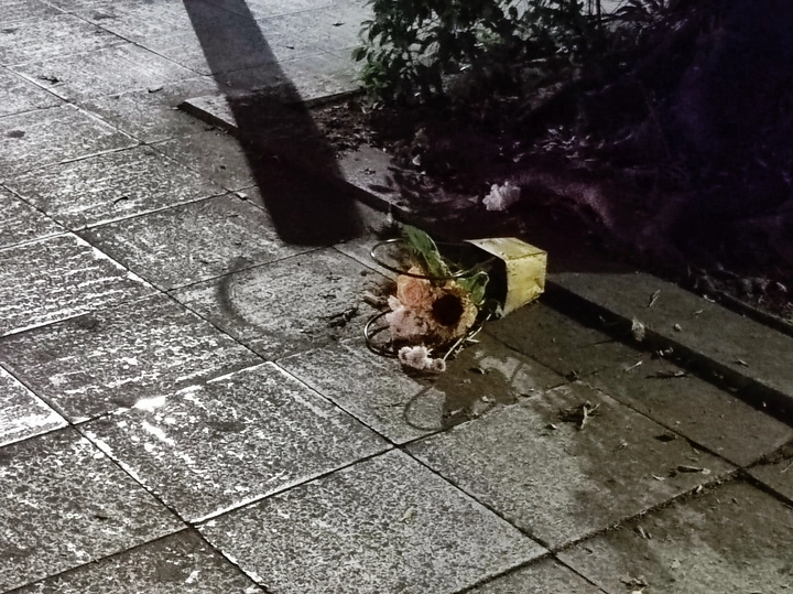 弃花