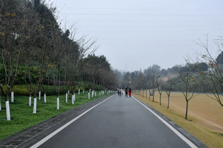 道路两边的季节