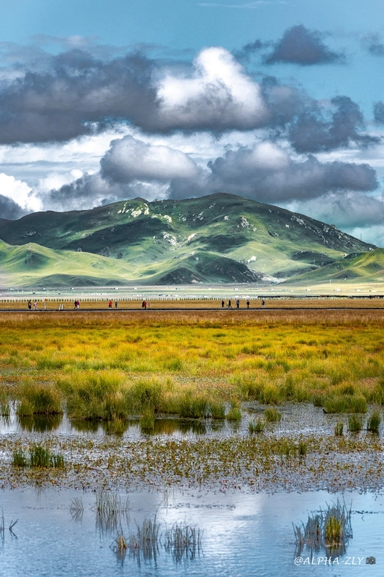 marsh landscape with water and horses in the foreg
