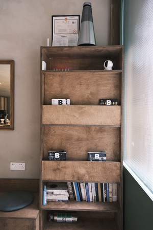 一个小客厅 有一个木制书架 里面有书和一面镜子