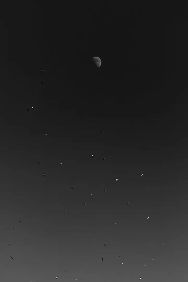 昆明的“星光”