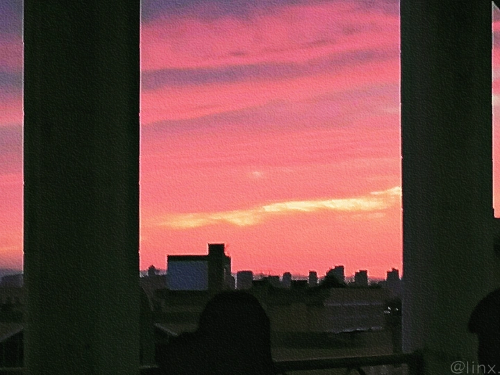 青春的暗恋