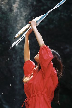 一位穿着红色连衣裙的女人举着一把伞在头上 天空中鸟儿在雨中飞翔。