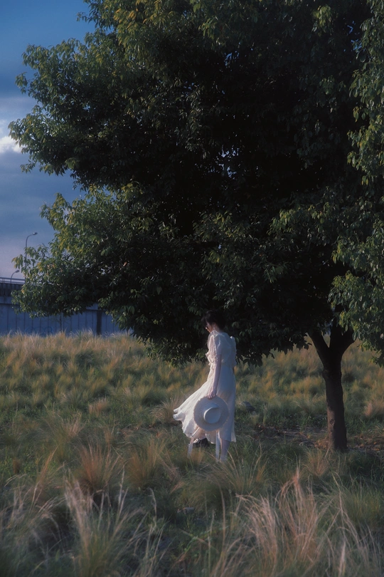 一位穿着白色连衣裙的女性拿着飞盘站在一棵大树旁的草地上