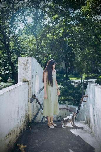 一个穿黄裙子的年轻女子带着一只猫走过一座桥 猫站在楼梯上。