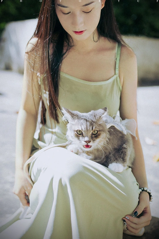 一个穿着白色连衣裙的年轻女子抱着一只灰白色的猫