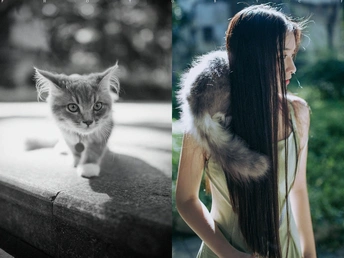 一位长发女子和一只猫