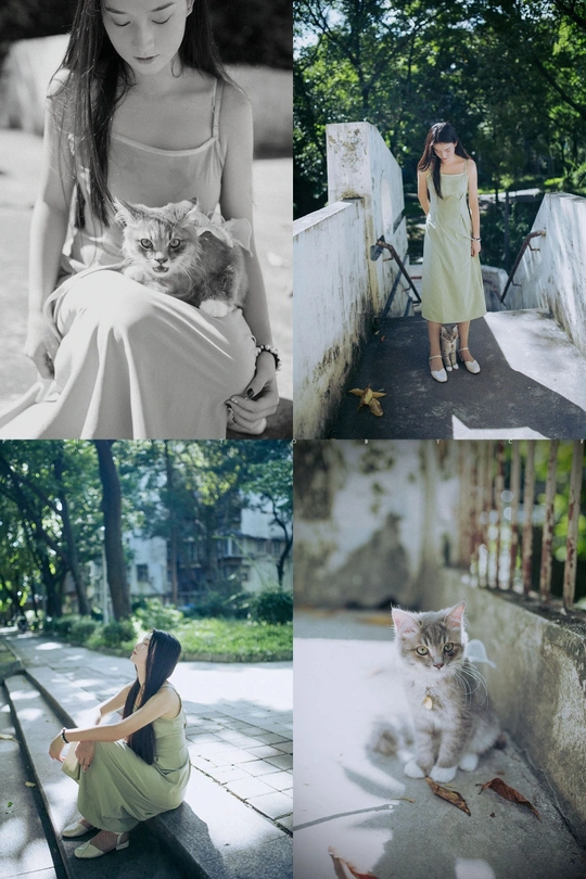 一位穿着连衣裙的女人和一只猫坐在一只小猫上的照片拼贴