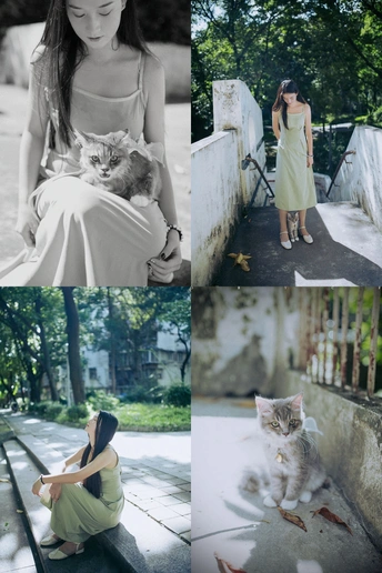 一位穿着连衣裙的女人和一只猫坐在一只小猫上的照片拼贴